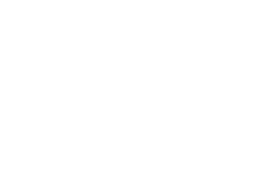 Consigo Pelo Mundo Transportes